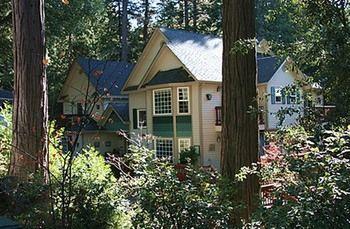 Mccaffrey House